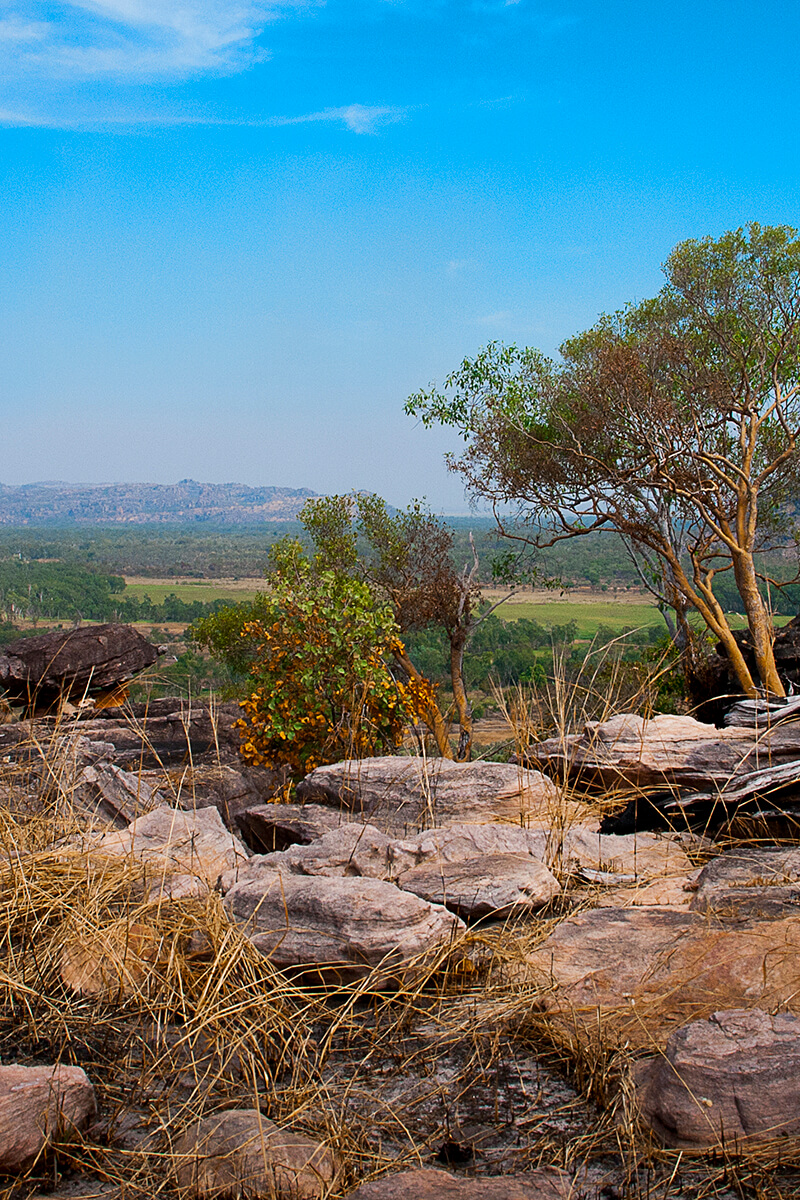 Arnhem land landscape